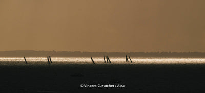The Transat Café L'OR is unforgiving