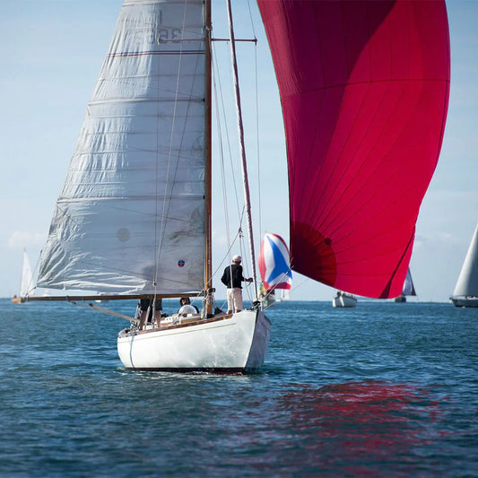 Barcolana: the biggest regatta in the world