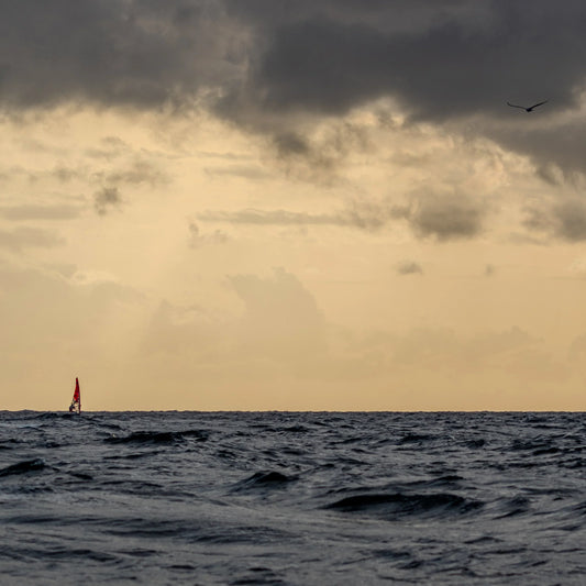 SLAM Team: 2023 achievements and life approach