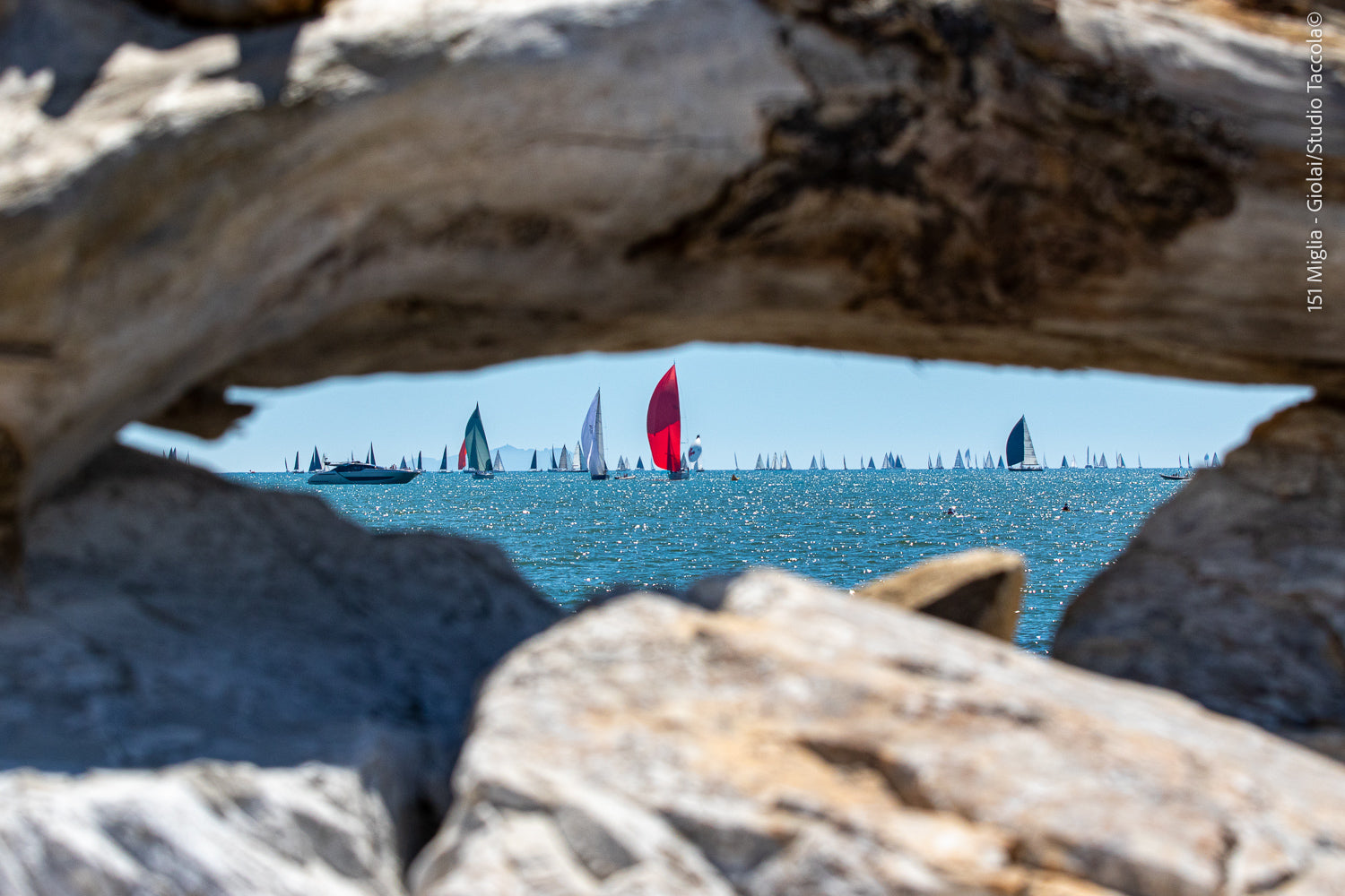 Veduta dagli scogli di un campo di regata con numerose barche all'orizzonte