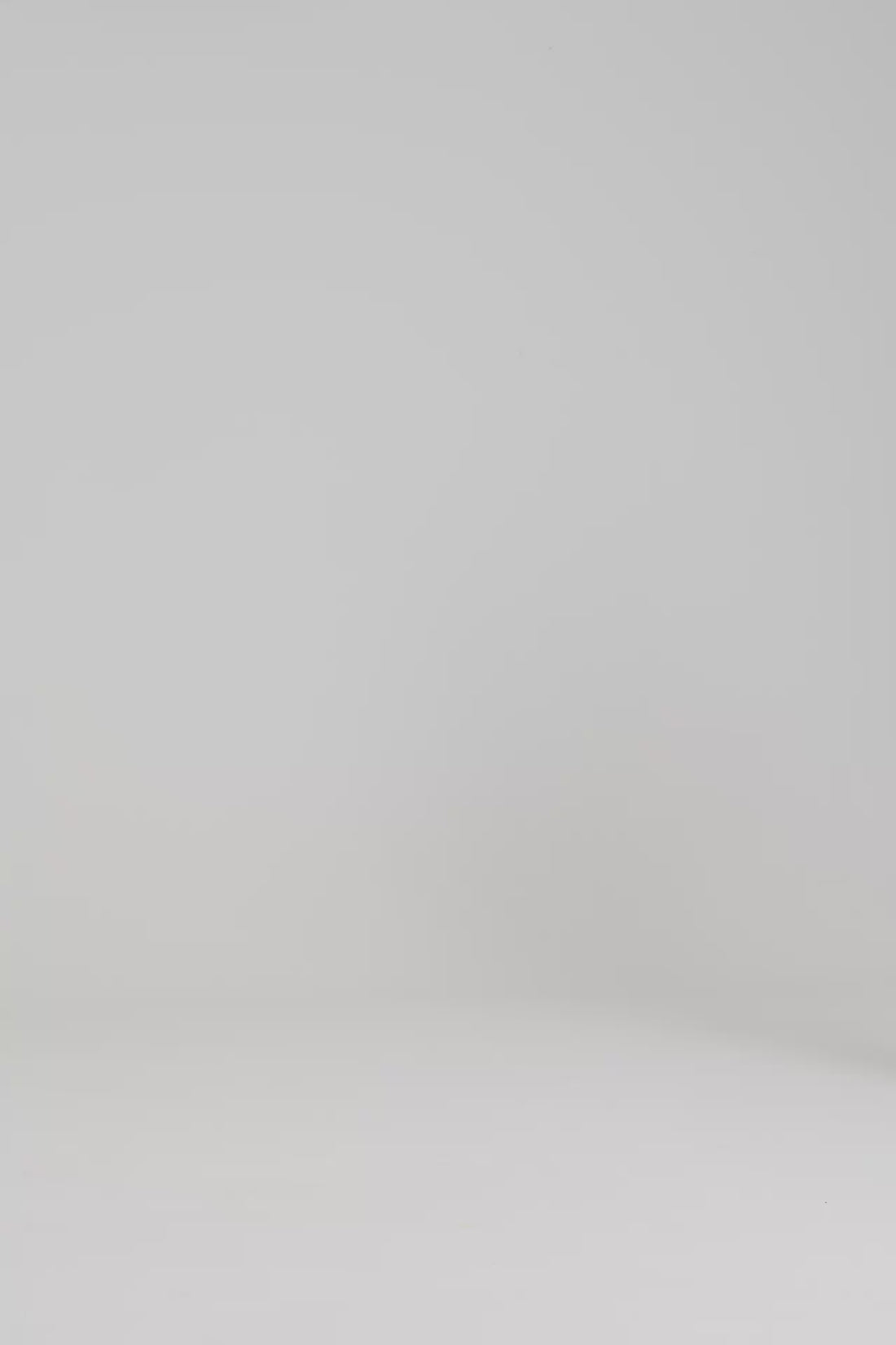 A460002S00_W13_DECKBELT_VLS.mp4