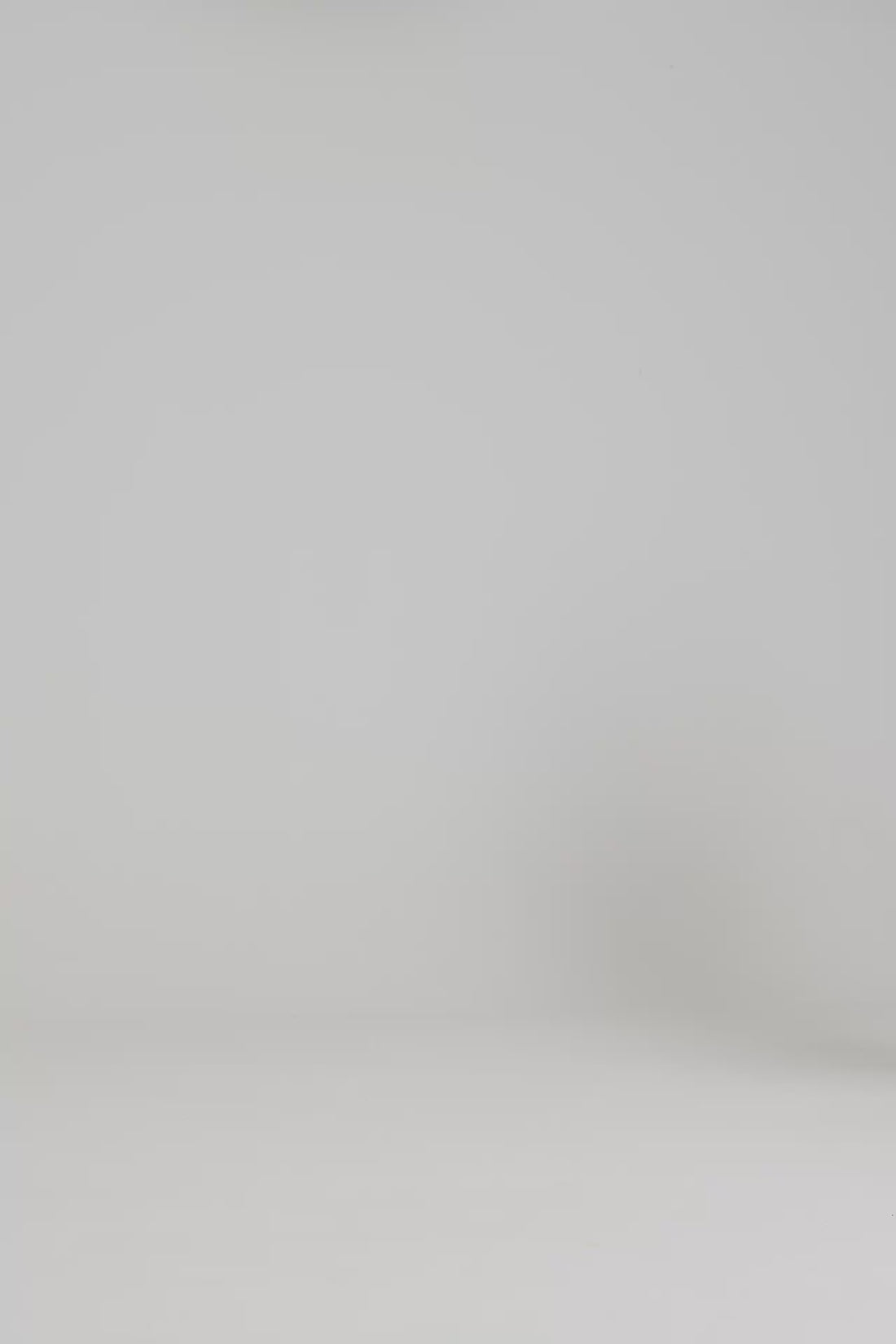 A940003S00_W03_DECKWSLGTCHINOSHORT_VLS.mp4